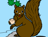 Desenho Esquilo pintado por esquilo