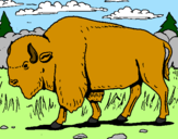 Desenho Búfalo pintado por vinicius