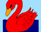 Desenho Cisne pintado por katia cristina