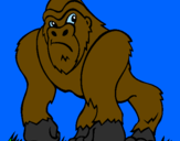 Desenho Gorila pintado por wedson