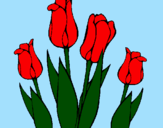 Desenho Tulipa pintado por maria fer