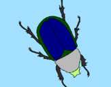 Desenho Escaravelho pintado por NADIM45