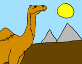 Desenho Camelo pintado por leticia