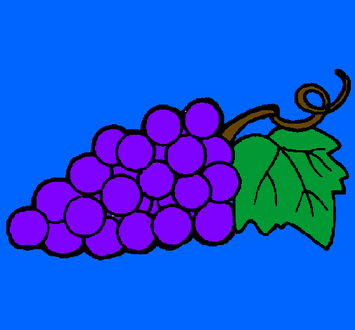 Desenho Uvas pintado por flávia uva