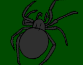 Desenho Aranha venenosa pintado por tar