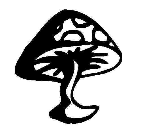 Desenho cogumelo venenoso pintado por rafael