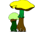 Desenho Cogumelos pintado por dri