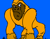 Desenho Gorila pintado por hiago