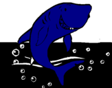 Desenho Tubarão pintado por FELIPE