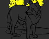 Desenho Lobo pintado por x.r