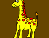 Desenho Girafa pintado por maraleo
