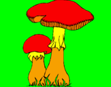 Desenho Cogumelos pintado por sofia
