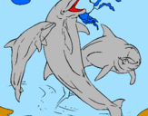 Desenho Golfinhos a brincar pintado por nathalia