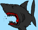 Desenho Tubarão pintado por nadim45