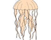 Desenho Medusa pintado por thais e gabi