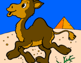 Desenho Camelo pintado por Mel