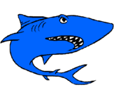 Desenho Tubarão pintado por rex