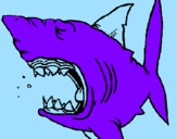 Desenho Tubarão pintado por vitinho