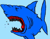 Desenho Tubarão pintado por MATEUS