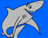 Desenho Tiburão alegre pintado por italo