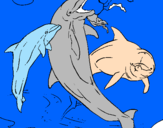 Desenho Golfinhos a brincar pintado por Mariana