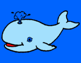 Desenho Baleia a expulsar água pintado por isabelly    baleia