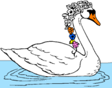 Desenho Cisne com flores pintado por JAVIER saez     4