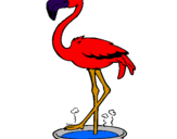 Desenho Flamingo com os pés de molho pintado por joao victor