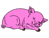 Desenho Porco a dormir pintado por david