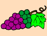 Desenho Uvas pintado por bibi