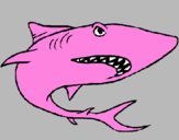 Desenho Tubarão pintado por LAURA