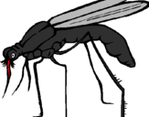 Desenho Mosquito pintado por pedro