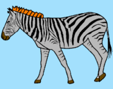 Desenho Zebra pintado por julia arielly bueno
