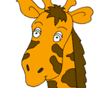 Desenho Cara de girafa pintado por Mariana