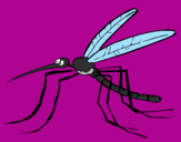 Desenho Mosquito pintado por caio xavier
