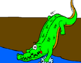 Desenho Crocodilo a entrar na água pintado por edmundo