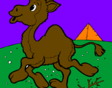 Desenho Camelo pintado por raphaela