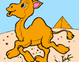 Desenho Camelo pintado por geovana