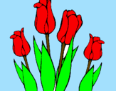 Desenho Tulipa pintado por liliana