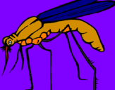 Desenho Mosquito pintado por Leonardo