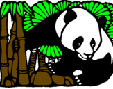 Desenho Urso panda e bambu pintado por Diana