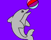 Desenho Golfinho a jogar com uma bola pintado por diogo