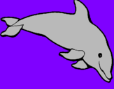 Desenho Golfinho contente pintado por diogo