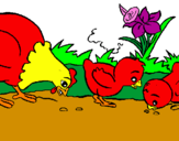 Desenho Galinha e pintainhos pintado por galinha vermelha e seus p