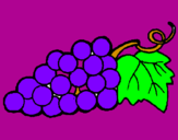 Desenho Uvas pintado por vinicius