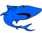 Desenho Tubarão pintado por joaquim