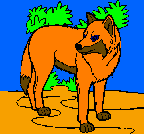 Desenho Lobo pintado por lobo guara