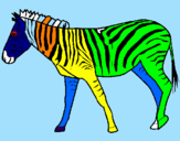 Desenho Zebra pintado por zebra