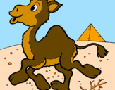 Desenho Camelo pintado por pedro