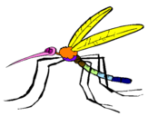 Desenho Mosquito pintado por mosquito